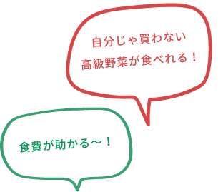 自分じゃ買わない高級野菜が食べれる！ 食費が助かる〜！